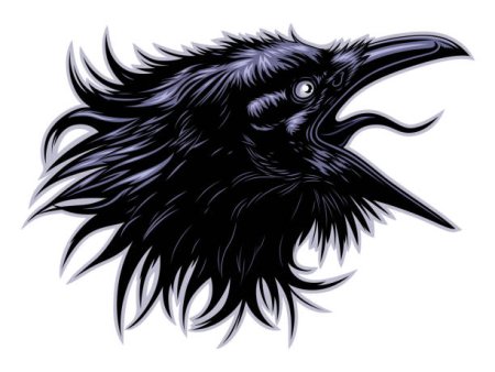 Голова ворона эскиз