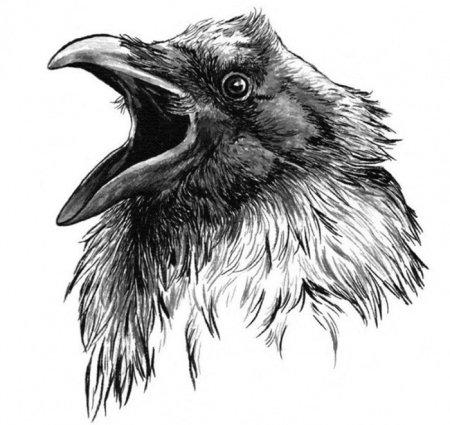 Голова ворона тату