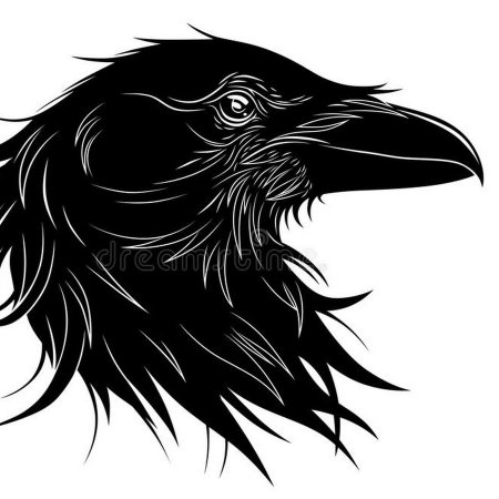 Голова ворона тату