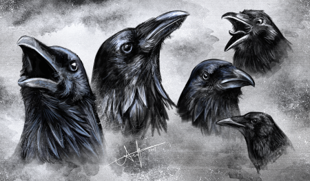 Голова ворона