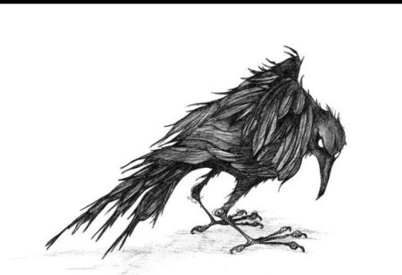 Ворон скетч