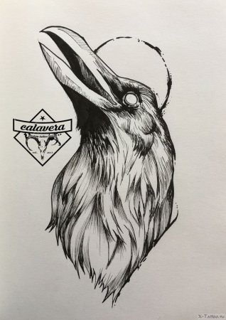 Ворон эскиз