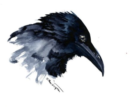 Голова ворона
