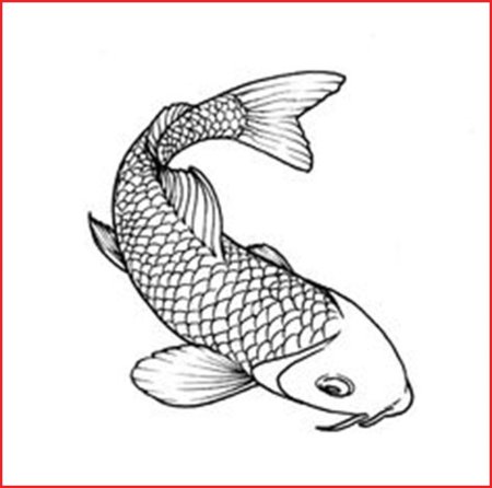 Зарисовки рыб