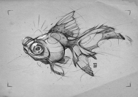 Эскиз рыбы