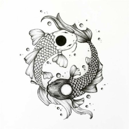 Карпы Инь Янь эскиз