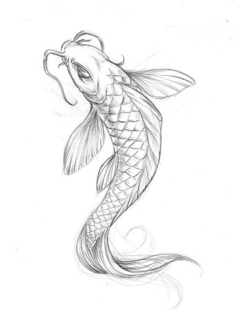 Наброски рыб