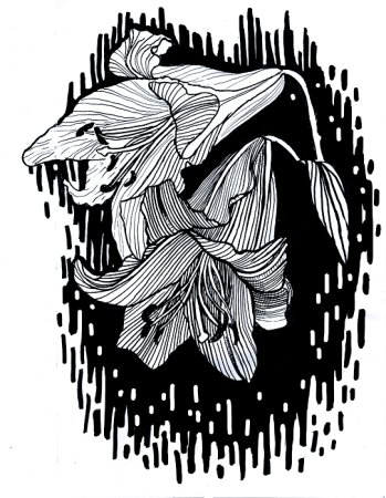 Графика тушью и пером