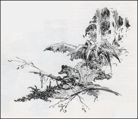 Графический рисунок перо