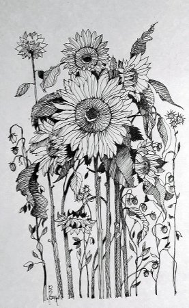 Цветы тушью и пером