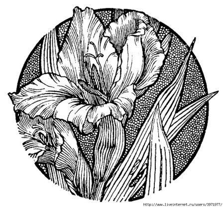 Стилизация растений