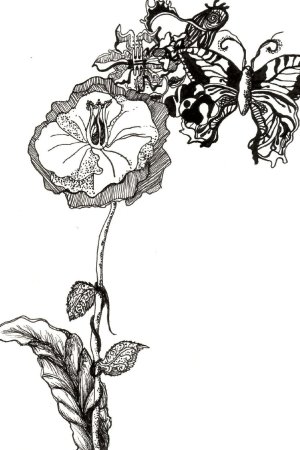 Зарисовки растений тушью