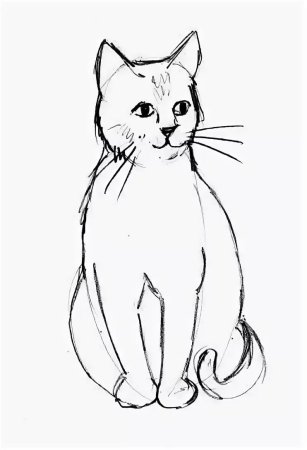 Кот карандашом для срисовки