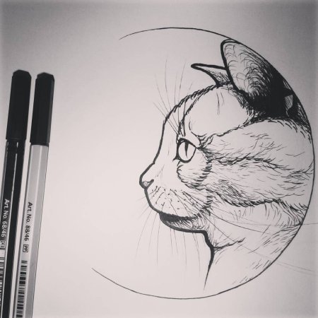 Тату коты эскизы