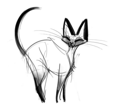 Кошка скетч