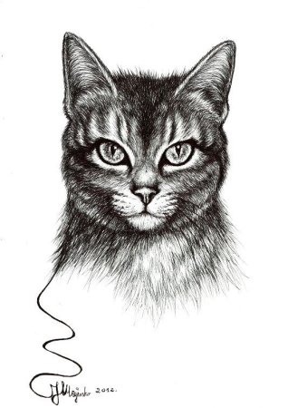Кошка эскиз