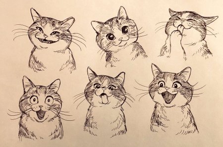 Кошка скетч