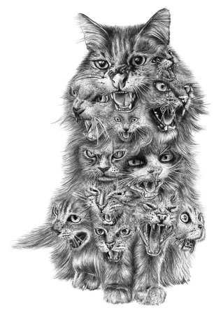 Эскизы котиков
