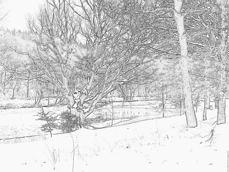 Зимний пейзаж карандашом