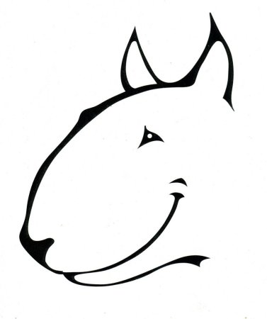 Бультерьер эскиз