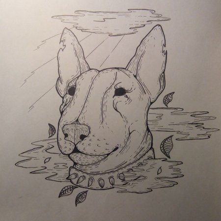 Бультерьер эскиз