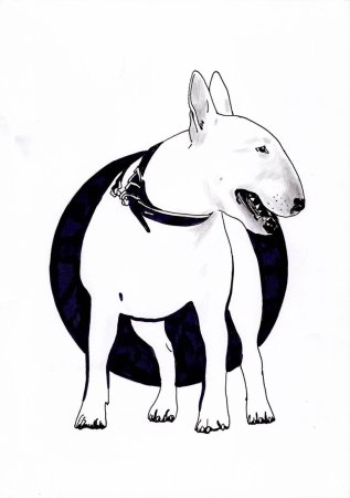 Бультерьер логотип