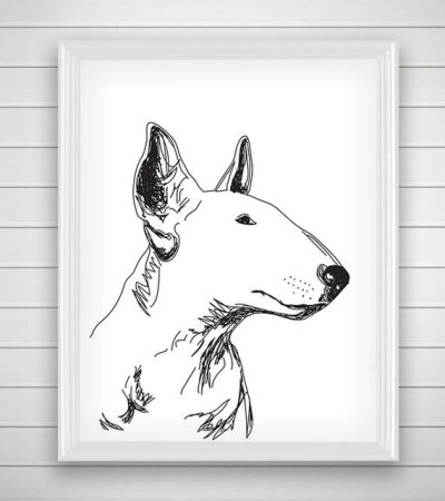 Контурный эскиз бультерьер