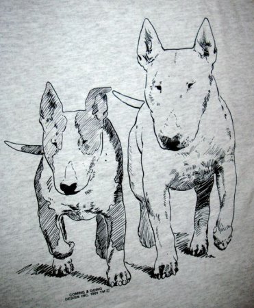 Бультерьер набросок