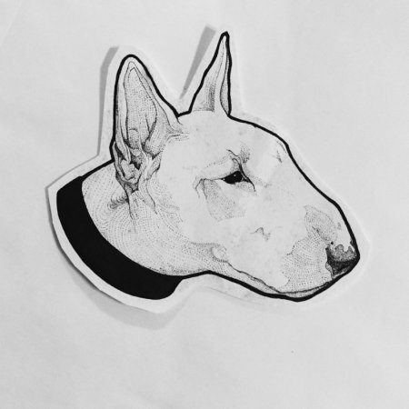 Бультерьер Stone Island