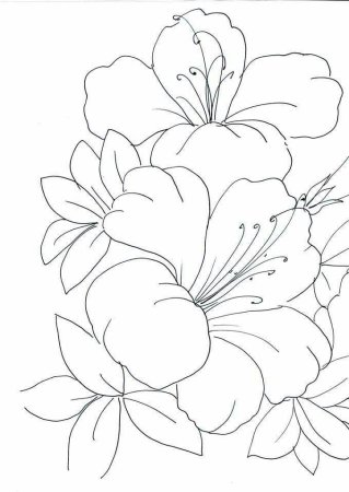 Хохлома раскраска