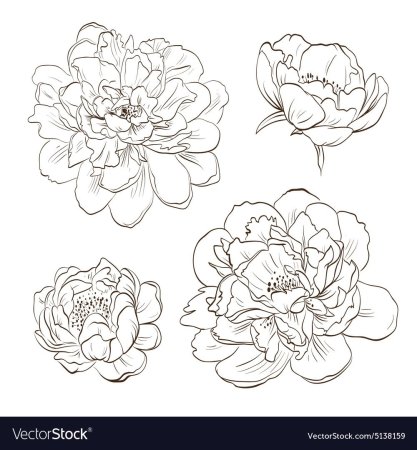 Эскизы цветов для рисования