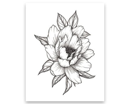 Пион эскиз тату контур