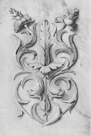 Акант гризайль