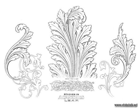 Ренессанс орнамент акантовый лист