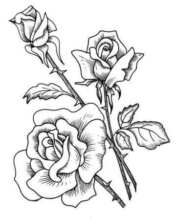 Эскизы для выжигания по дереву