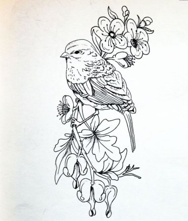 Эскизы для выжигания по дереву