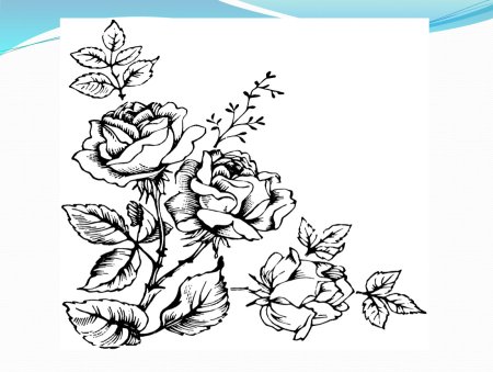 Эскизы для выжигания по дереву