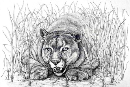 Узоры для выжигания по дереву животные