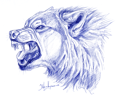 Волк скалится рисунок