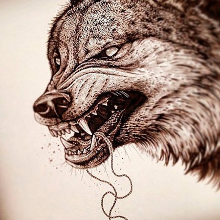 Оскал волка эскиз