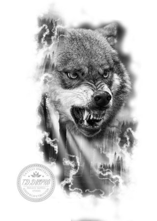 Волк тату эскиз реализм оскал