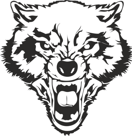 Волчий оскал на белом фоне