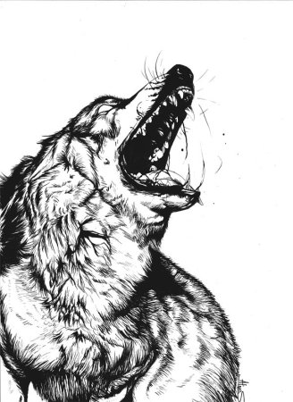 Оскал волка тату эскизы