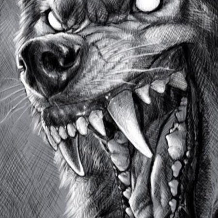 Эскизы татуировок волк с оскалом