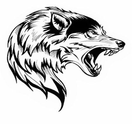 Оскал волка тату эскизы