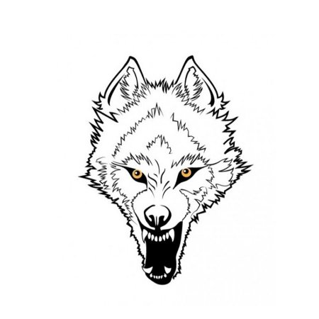 Волчий оскал тату эскизы