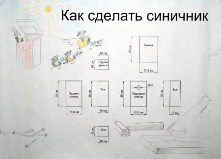 Синичник чертеж дом для птиц