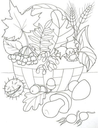 Осенний букет раскраска для детей