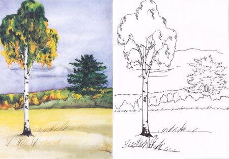 Природа России рисунок карандашом