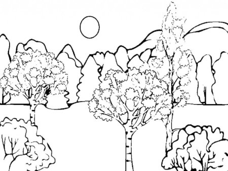 Раскраска природа